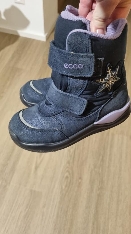 Ecco snehule, ecco,26