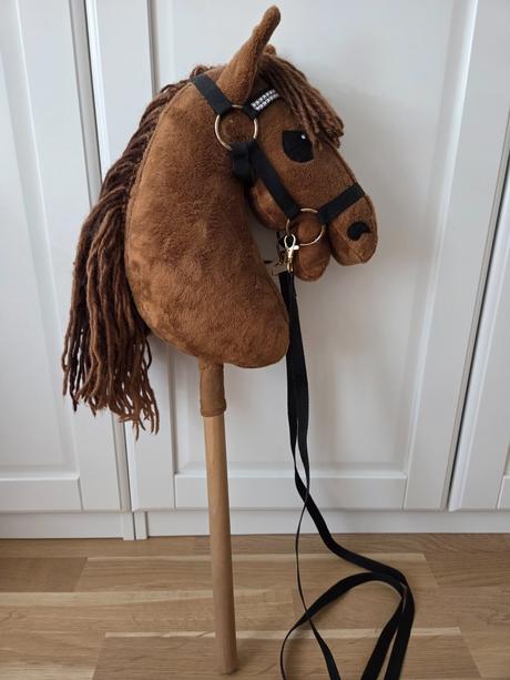 Hobby horsing, 