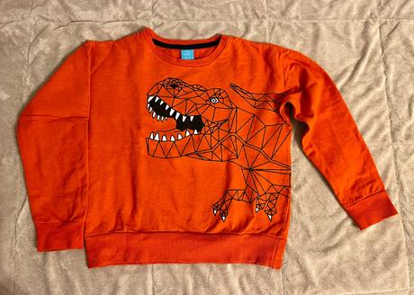 Dinosaurova mikina c. 128, 128