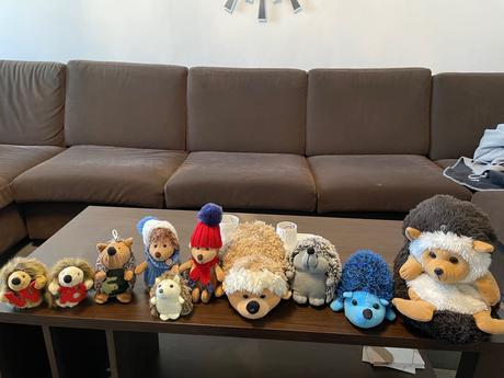 Plyšoví ježkovia, 