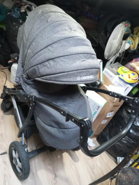 Kočik camarelo, camarelo,camarelo malaga