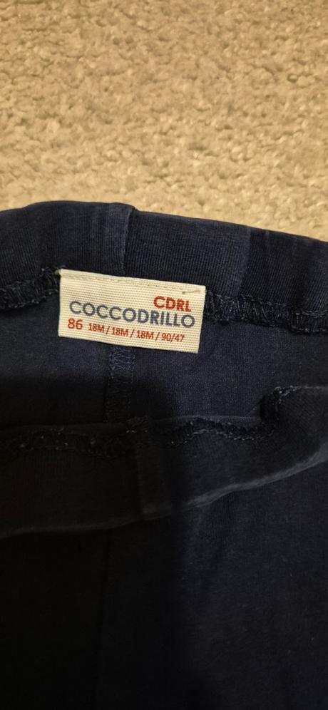 Leginy 86, coccodrillo,86