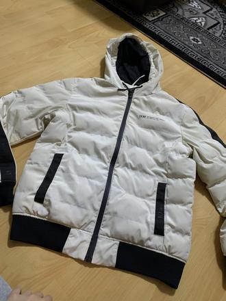 Kabat., new yorker,s