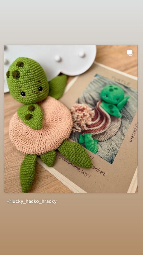 Mojkáčik korytnačka, 