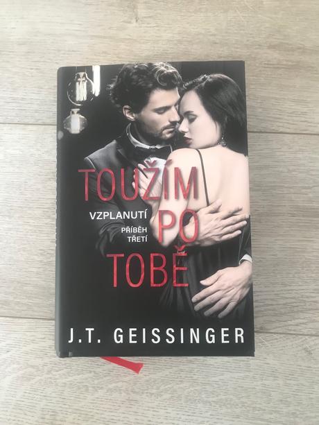 Kniha toužim po tobe j.t.geissinger,
