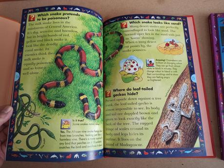 Wild wild world - spiders / snakes,