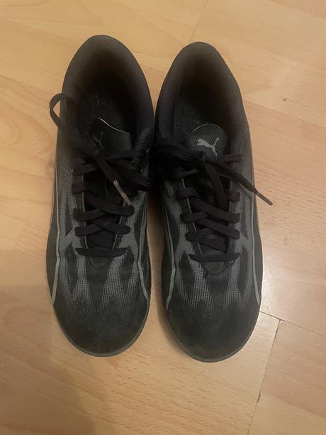 Halovky, puma,35