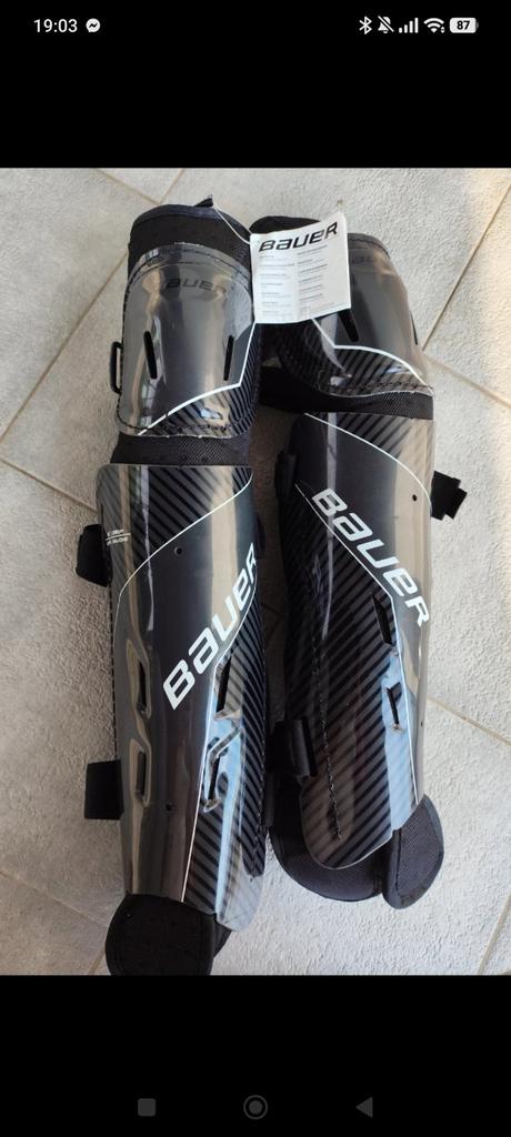 Holenne chranice na hokejbal, 