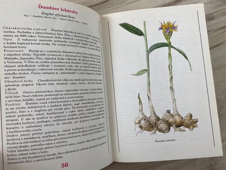 Liečivé rastliny byliny koreniny šedo krejča,