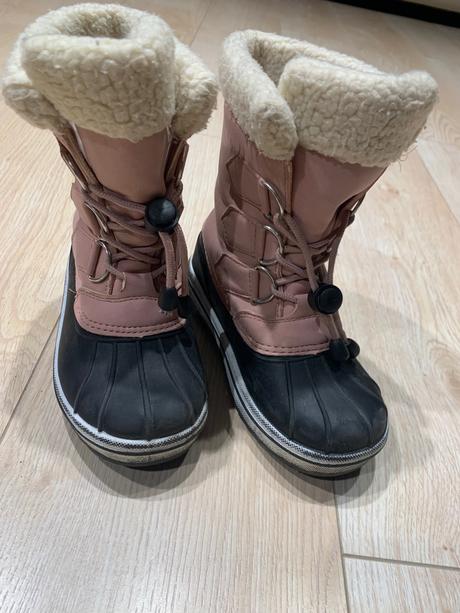 Snehule nordbjorn, 28