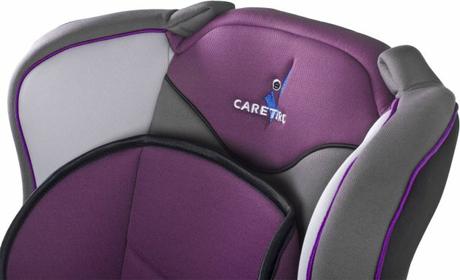 Caretero vivo purple, caretero