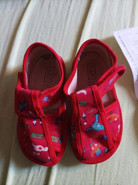 Rak papučky, rak,21