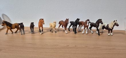 Koniky schleich,