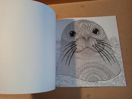 The aquarium marine creatures to colour, 