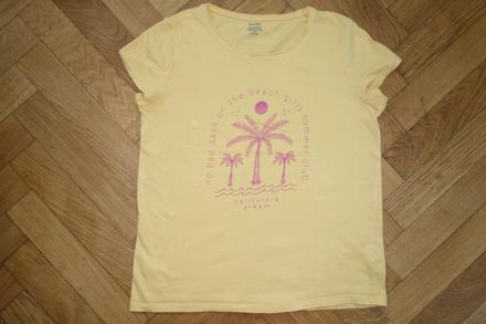Tričko palmy, 146