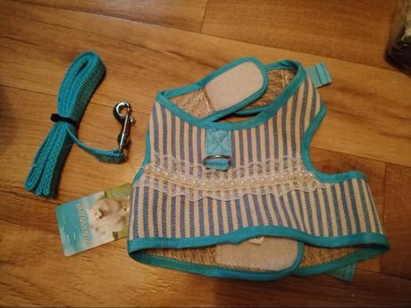 Oblečenie pre psov, 