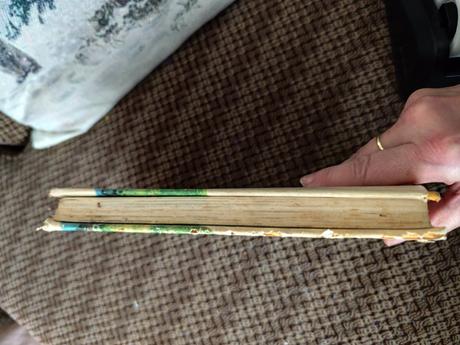 Pamäti policajného seržanta, 