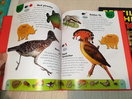 Deadly creatures reptiles & amphibians dict sp20,