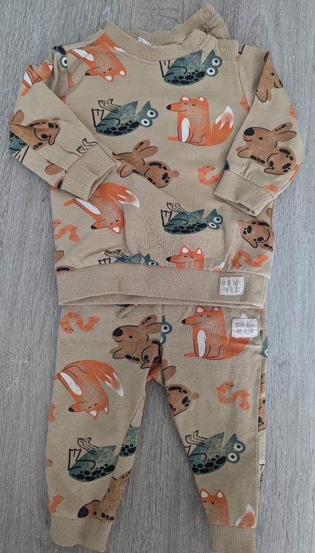 Súprava zvieratka, coccodrillo,68