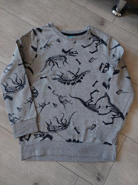 Dinosauria mikina, 128