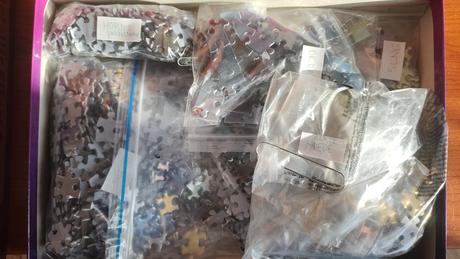 Puzzle 1000 delfiny metalicke,