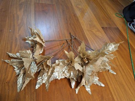 7x vianočná ruža, 