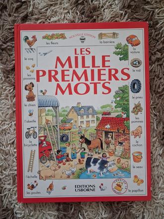 Francúzsky kreslený slovník,