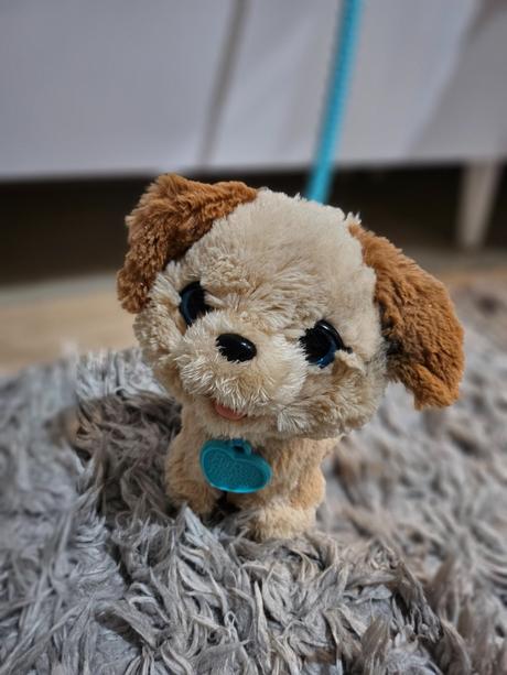 Interaktívny psík,