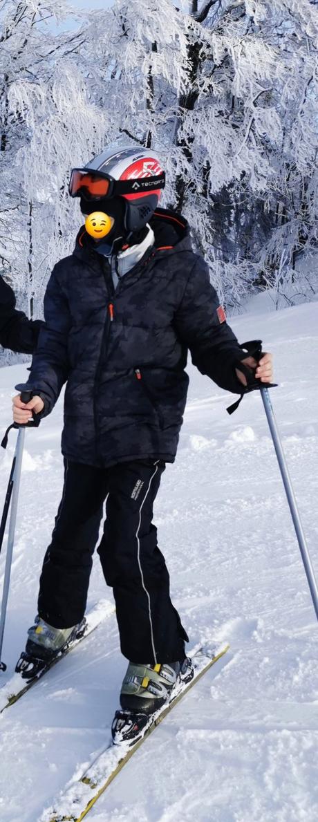 Prilba lyžiarska  alpina 51-55, alpina sports,xs