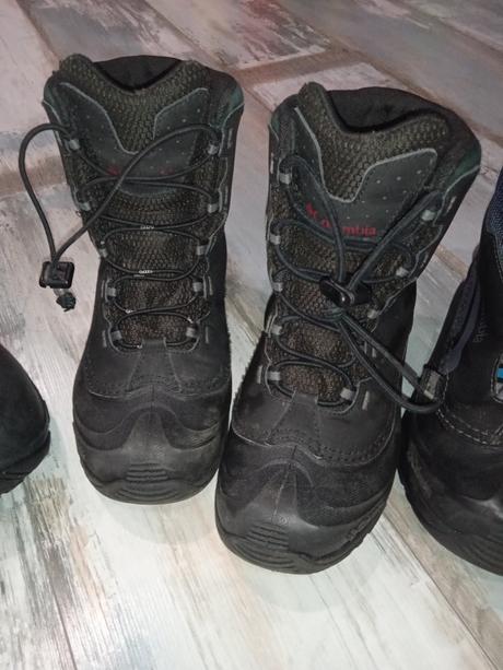 Snehule columbia, columbia