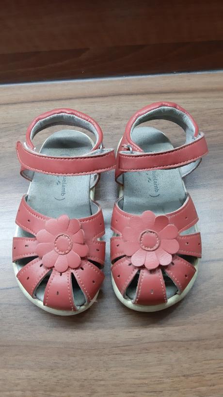 Sandalky, little blue lamb,24