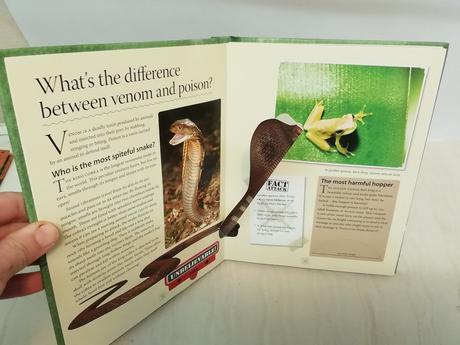 Explorer guide amazing animals au20, 