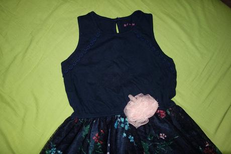 Letne satocky nutmeg, nutmeg,116