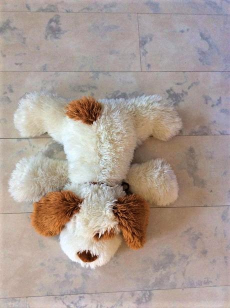 Veľký mäkký strapatý psík, 