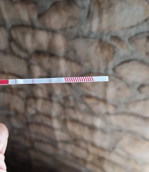 Je tam podľa vás niečo?