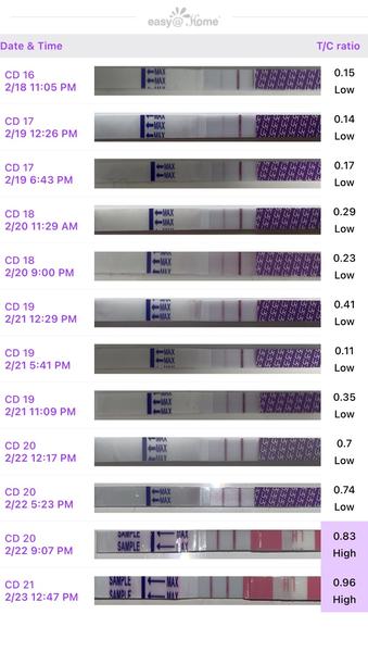 Máte pozitívny ovulačný test? Zistite viac!