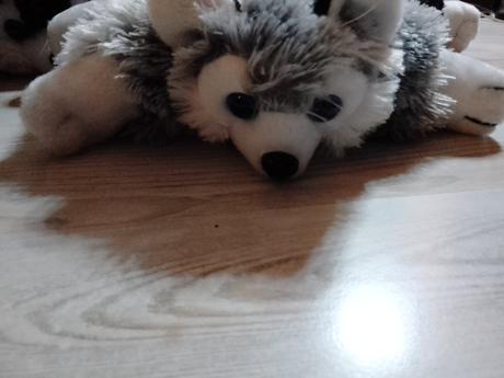 Plyšové vankúšiky psíky, 