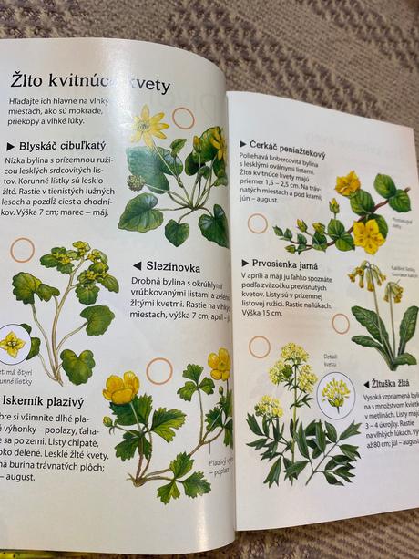 Krásna kniha sprievodca prírodou zvieratá kvety,