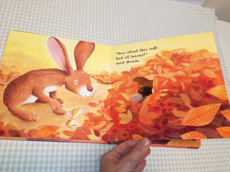 Rosalinda kightley a home for hare and mouse nau21, 