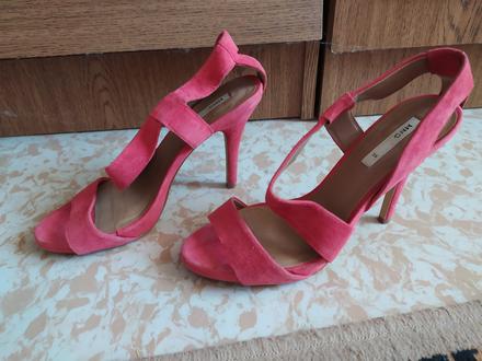 Lodicky mango, 39, mango,39