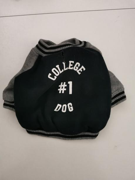 Vecicky pre maleho psika,