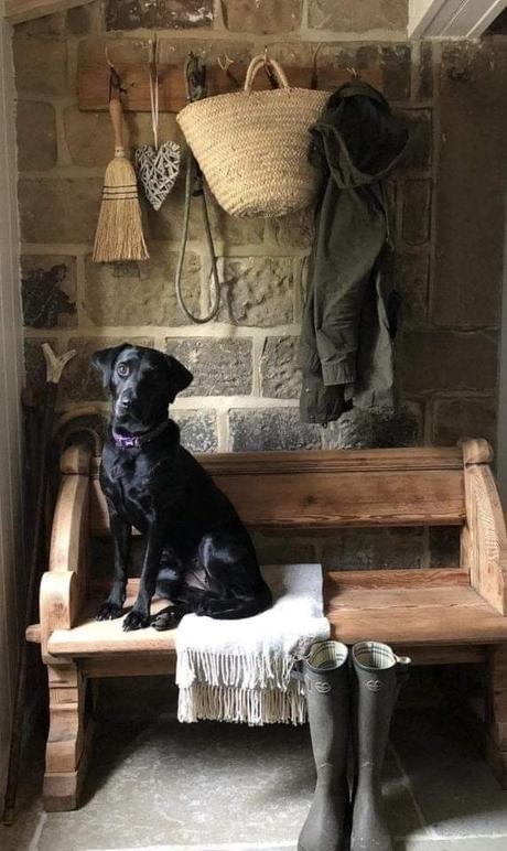 Parôžky - parožie, 