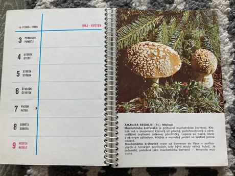 Huby okolo nás kalendár 1976 - aurel dermek,