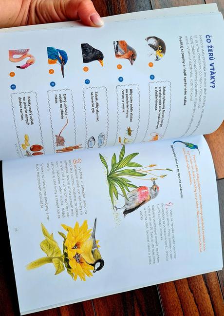 Montessori zosit aktivit vtaky,