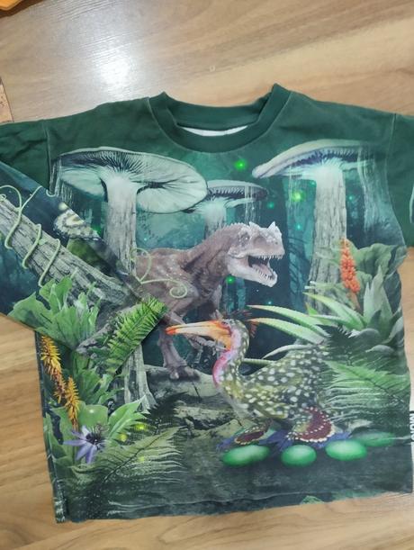 Mikiny s dinosaury molo, 116