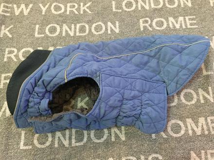 Bunda pre stredneho psa, 