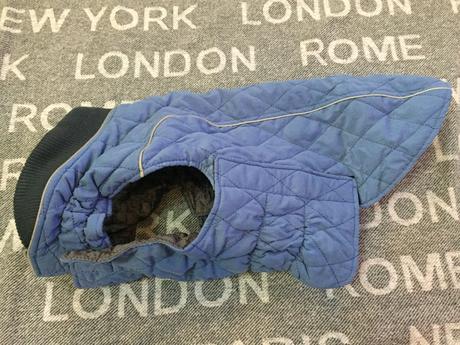 Bunda pre stredneho psa, 