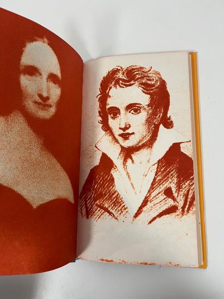 Osudy slávnych ariel alebo život shelleyho, 