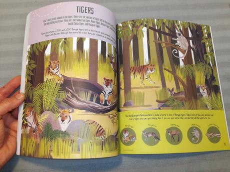 Wild world activity book nsu22,