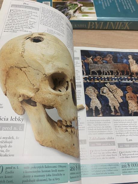 1000 svetových objavov a vynálezov roger bridgman, 